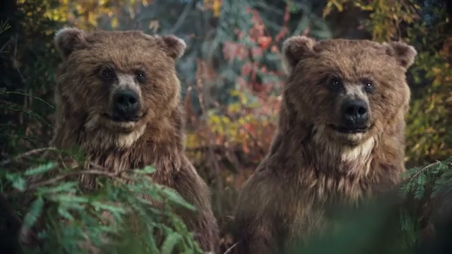 Twix — Bears / Camping (Left or Right)
