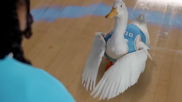 Aflac — Huddle Up
