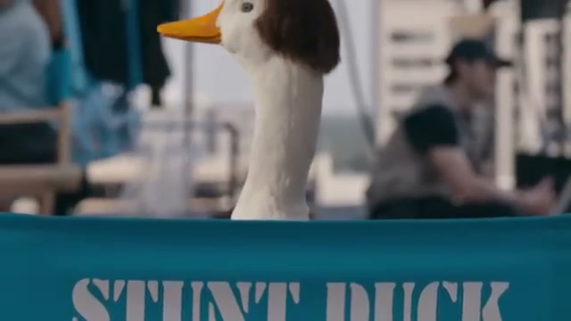 Aflac — Stunt Duck